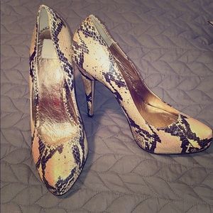 Dolce Vita snake skin pump